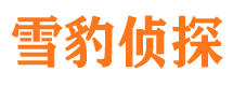 召陵市侦探公司